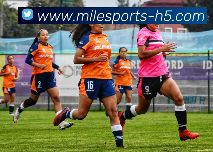 米乐体育发展历程